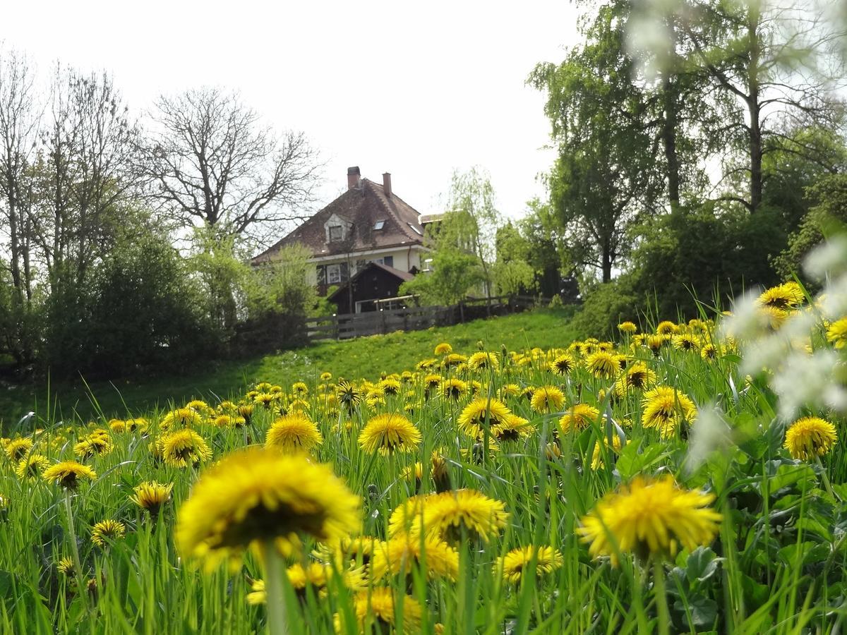 Landhaus Loewenzahn Unteregg Kültér fotó