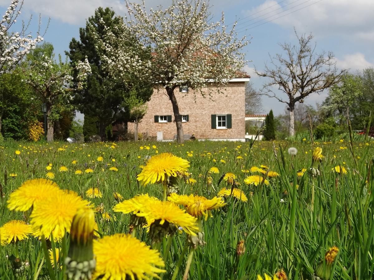 Landhaus Loewenzahn Unteregg Kültér fotó
